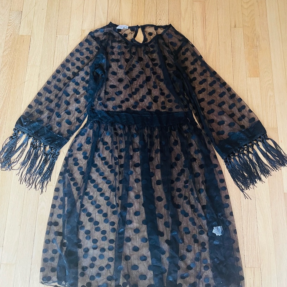 Black Sheer Polka Dot Dress with Fringe Sleeves